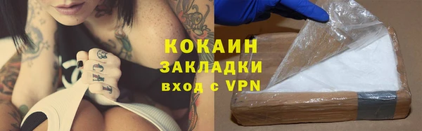 тгк Пересвет