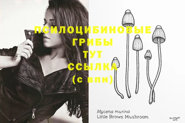 круглые Осташков