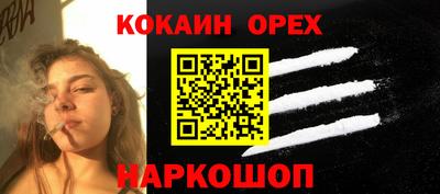 СК Бийск