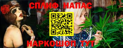 СК Бийск