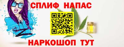 СК Бийск
