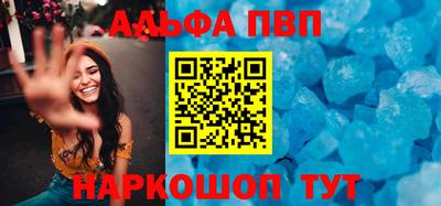СК Бийск